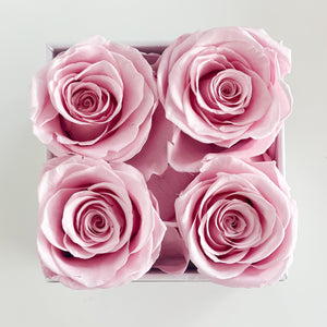 Tulle and Tulips - Classic Square Rose Box